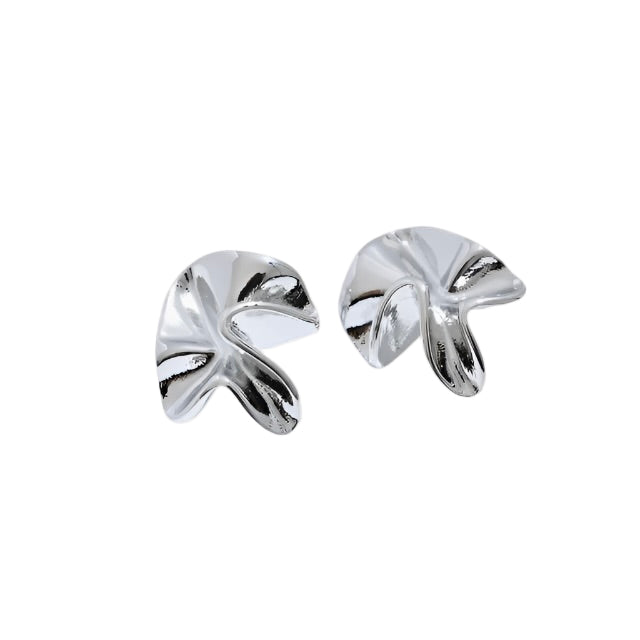 Pair of silver earrings on a white background